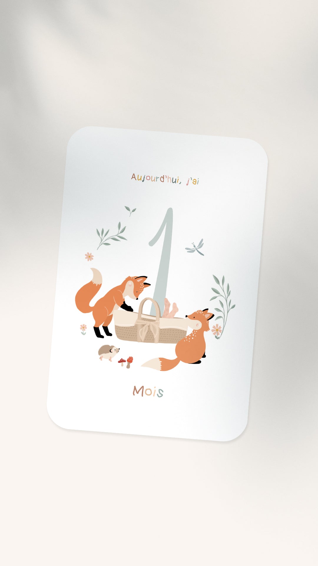 12 Cartes étapes illustrées pour bébé - Lune Trois - Quarts
