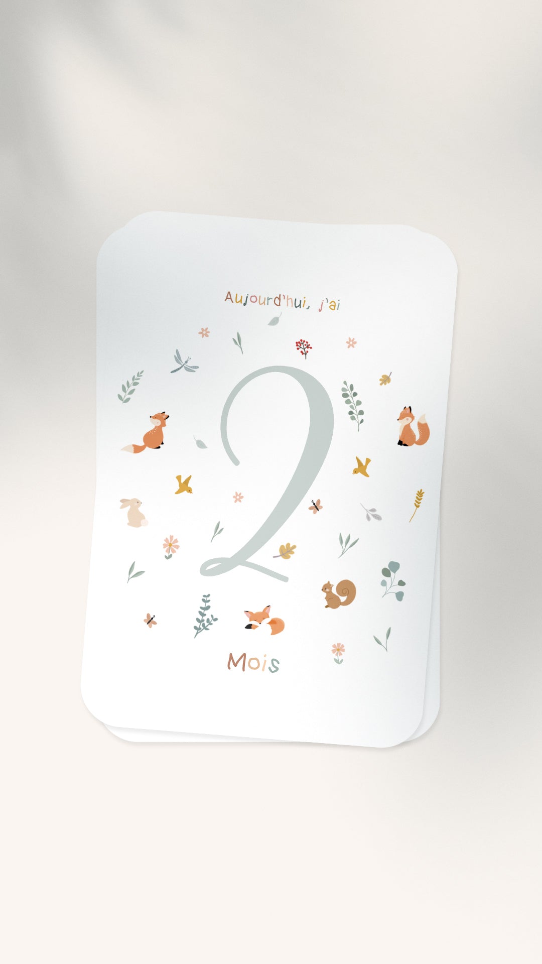 12 Cartes étapes illustrées pour bébé - Lune Trois - Quarts