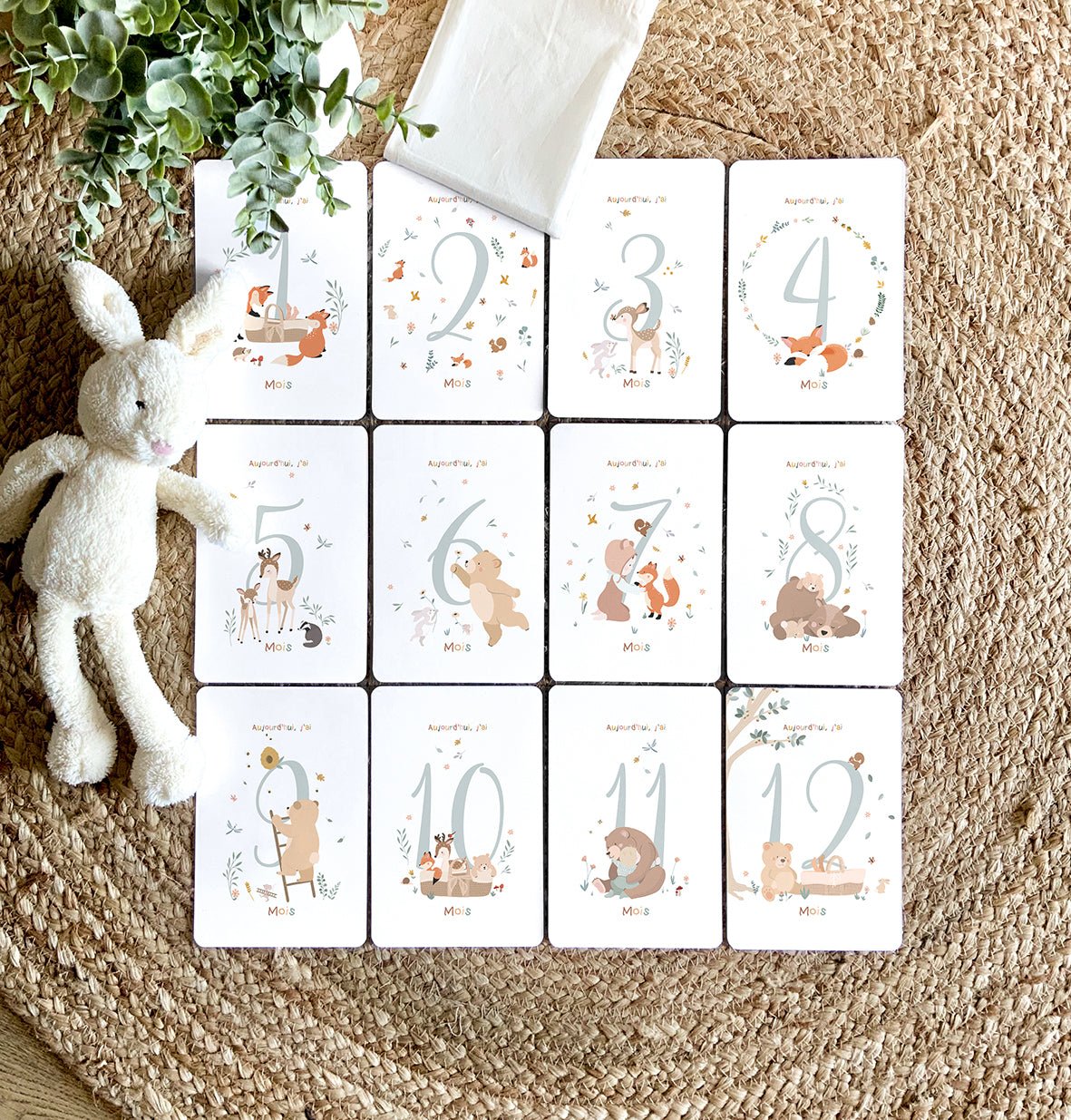 12 Cartes étapes pour bébé - Lune Trois - Quarts