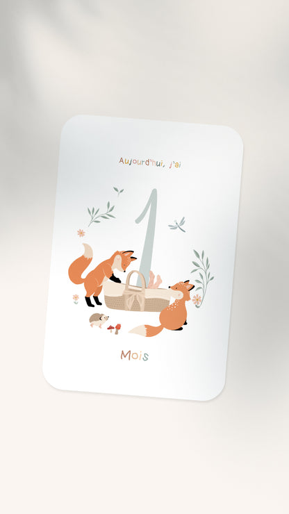 12 Cartes étapes illustrées pour bébé - Lune Trois - Quarts