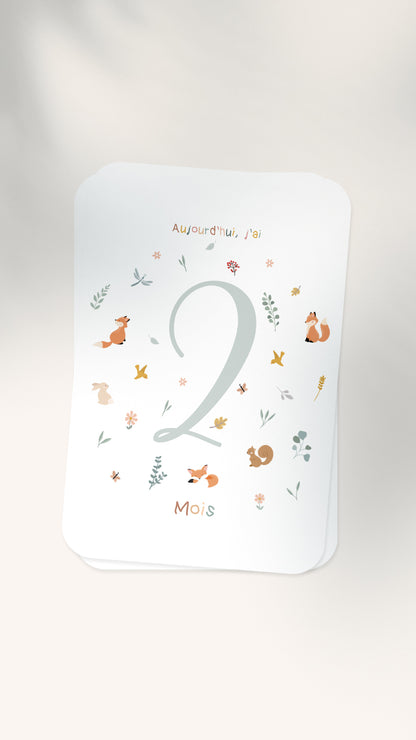 12 Cartes étapes illustrées pour bébé - Lune Trois - Quarts