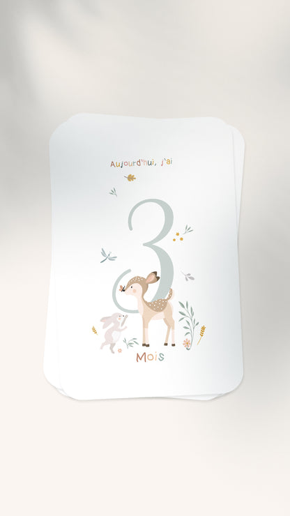 12 Cartes étapes illustrées pour bébé - Lune Trois - Quarts