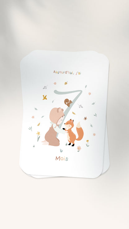 12 Cartes étapes illustrées pour bébé - Lune Trois - Quarts